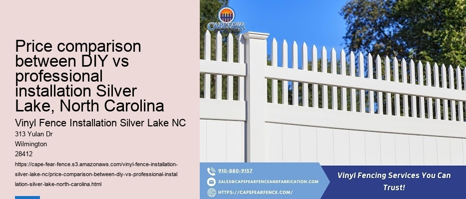 Price comparison between DIY vs professional installation Silver Lake, North Carolina